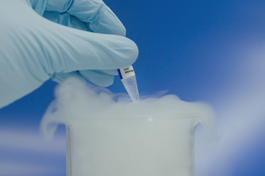 Advanced procedures for handling egg vitrification